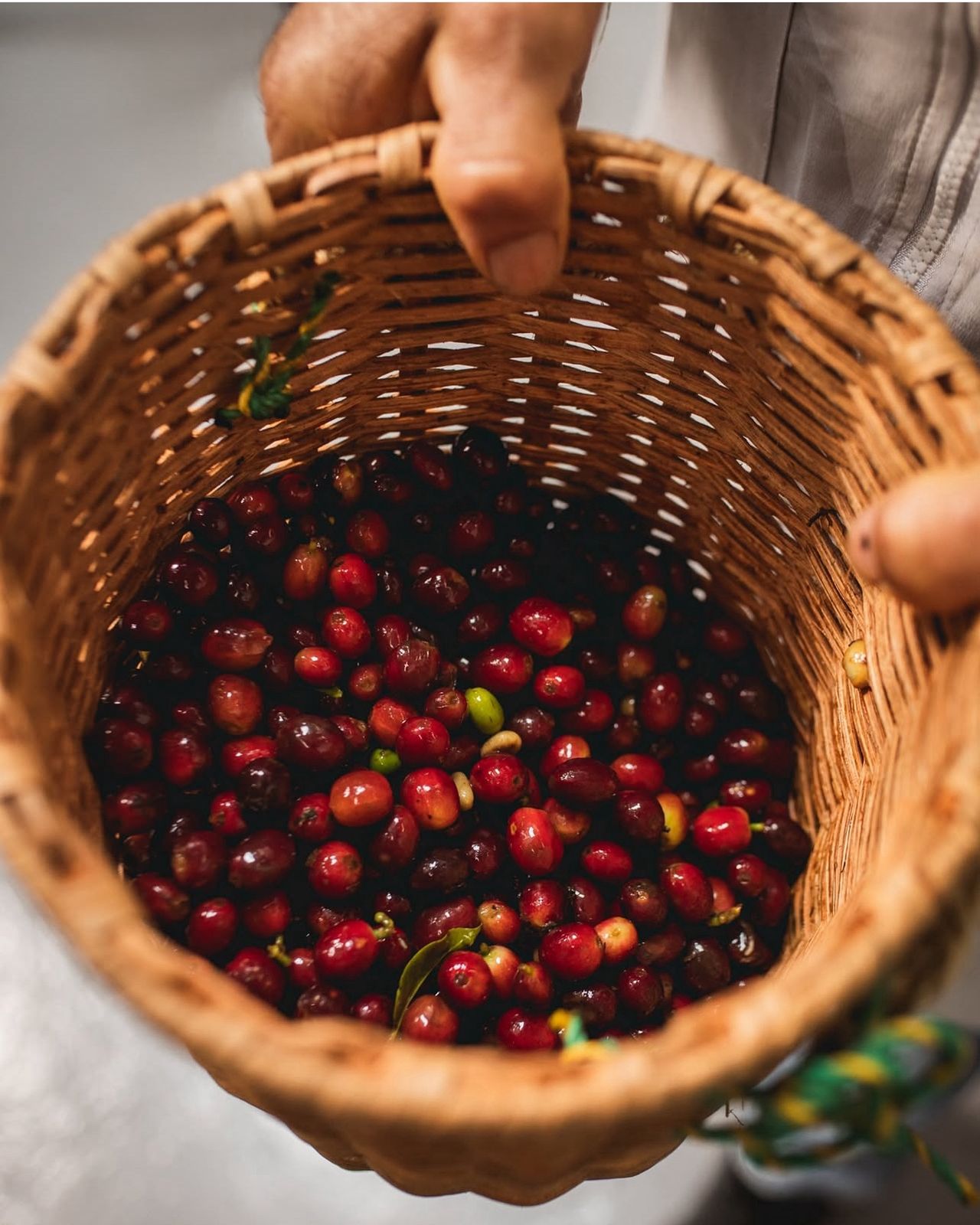 Café Retiro (Prueba configuración) - avanzana.com