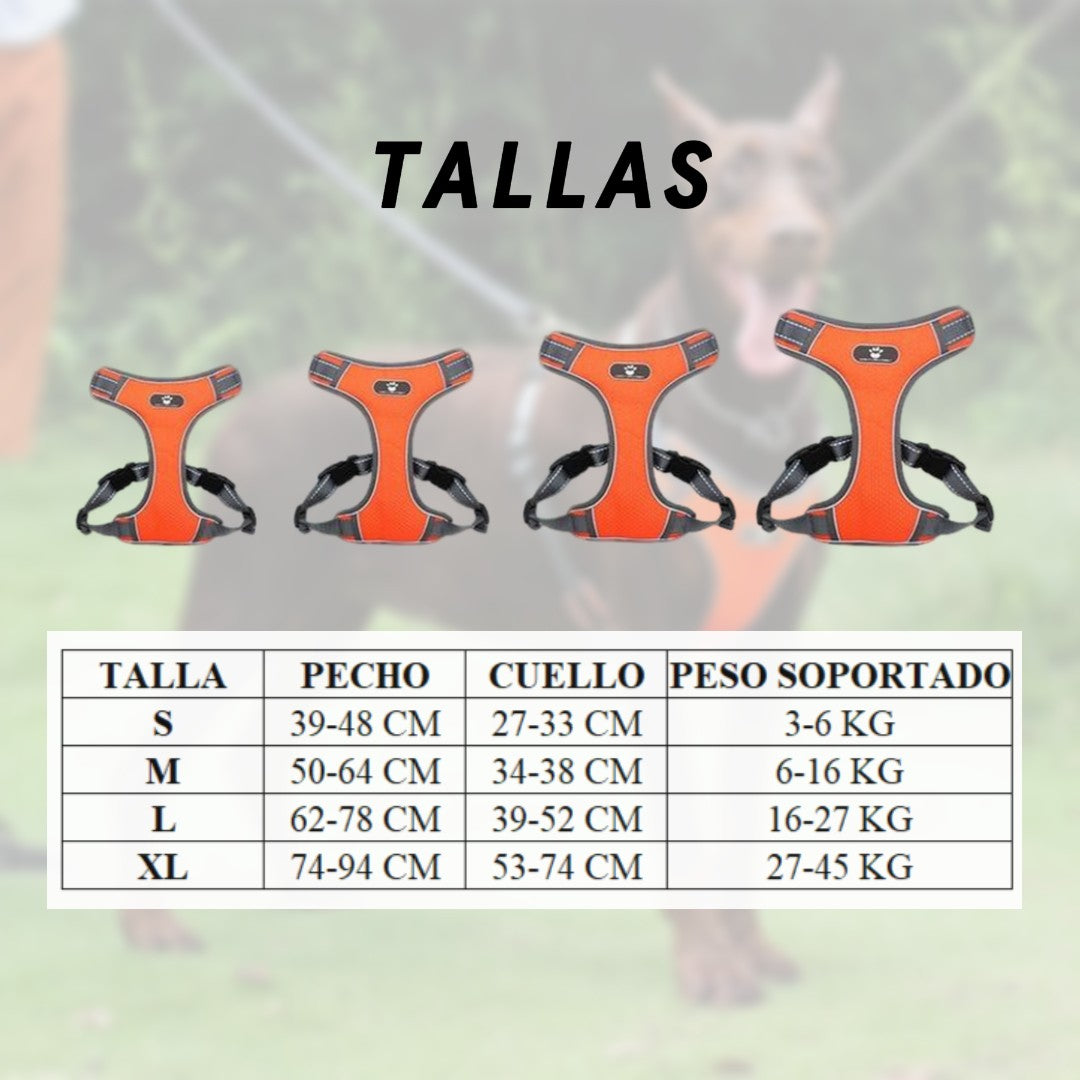 Arnés para perros medianos y grandes