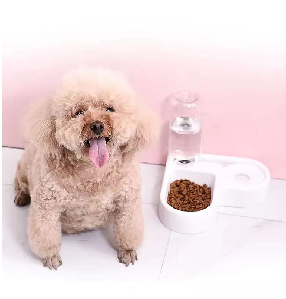 Bebedero dispensador automático para mascotas