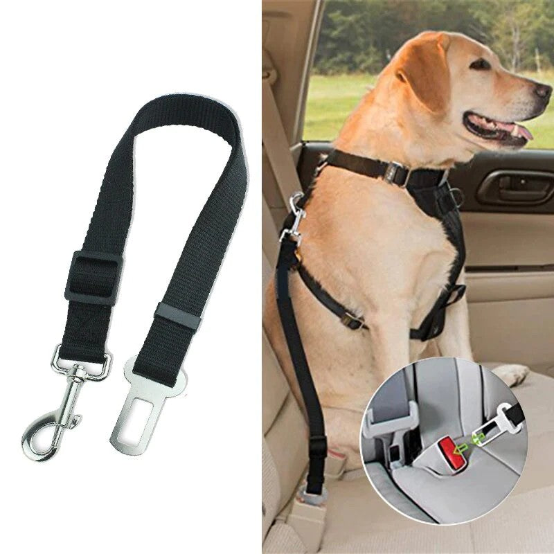 Cinturón de seguridad para auto perro