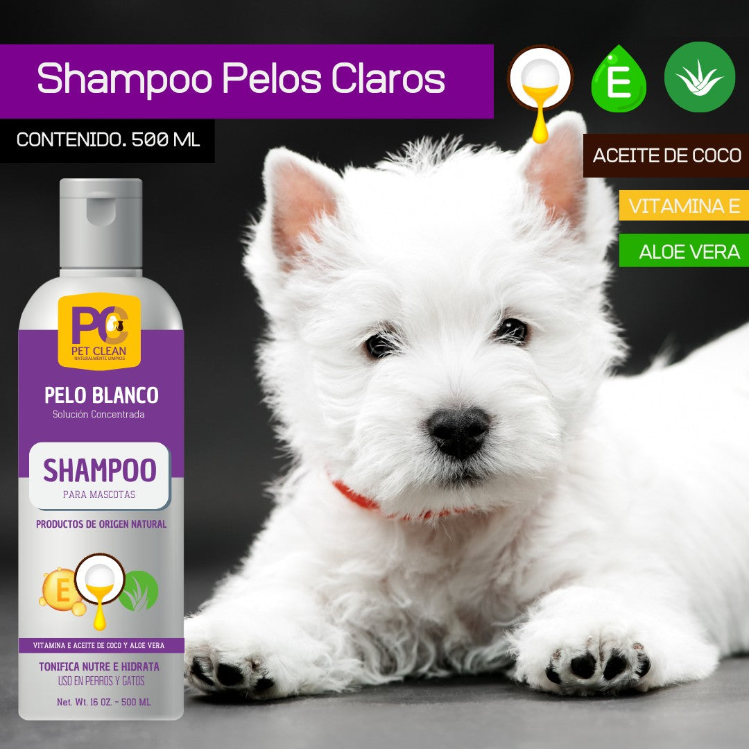 Kit Shampoo más Rinse