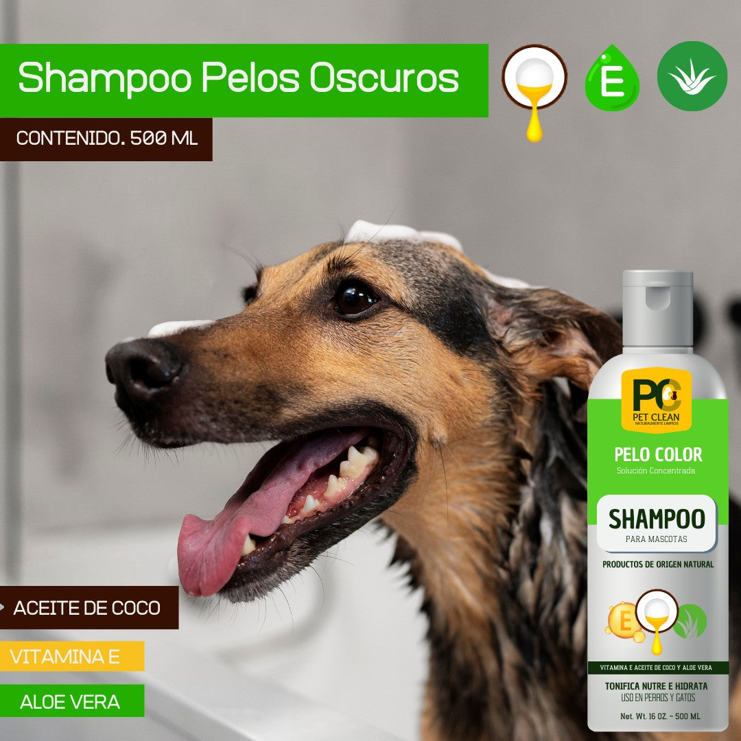 Kit Shampoo más Rinse