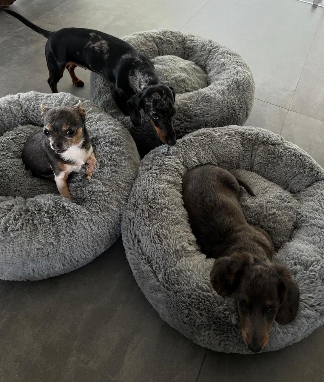 cama-dona-anti-estres-mascotas-talla-s-50cm
